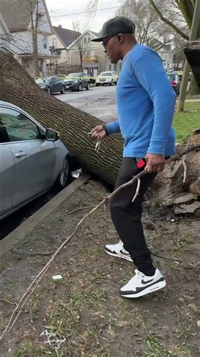 Milwaukee weather: See damage from overnight storms