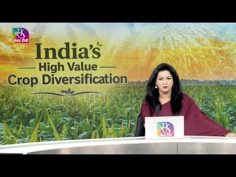 In-Depth: Crop Diversification Report | 26 April, 2026