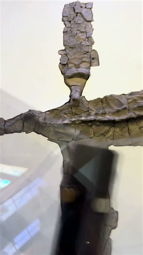 Plesiosaur in Sedgwick Museum 🙃