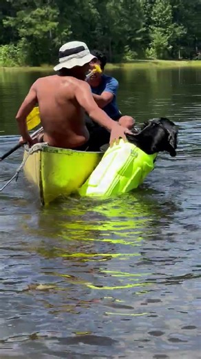 Great Dane Dog Tumbles Into Lake While Boarding the Canoe