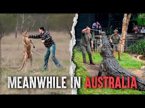 Australia's Deadliest Animal Attacks