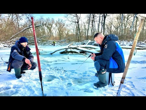 Оце НАБОМБИЛИ!!! Первольодка КОРМИТЬ!!!