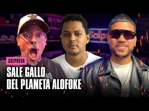 SALE GALLO DEL PLANETA ALOFOKE
