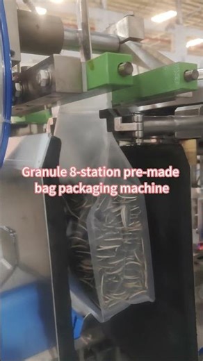 Granule 8-Station Premade Pouch Packing Machine | Automatic Rotary Doypack Packaging