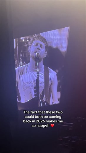 Niall Horan and Harry Styles Reunion Excites Fans