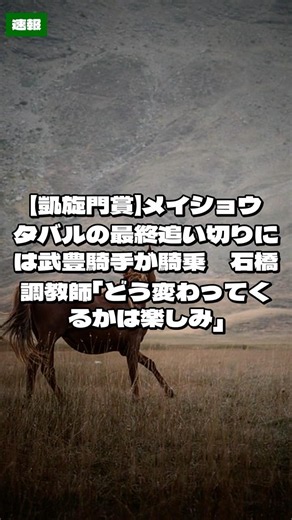 【凱旋門賞】メイショウタバルの最終追い切りには武豊騎手が騎乗 石橋調教師「どう変わってくるかは楽しみ」 9月29日｜競馬速報 #Shorts