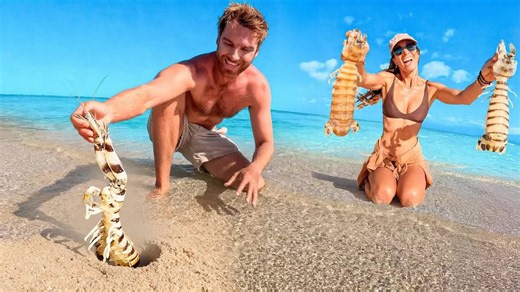 They pulled a giant mantis shrimp from its hole… then saw its size - "That might be the biggest we’ve ever caught"