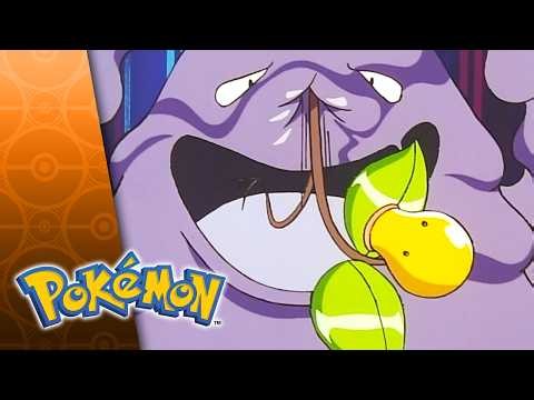 A Test of Agility and Slime: Muk vs. Bellsprout | Pokémon: Adventures in the Orange Islands