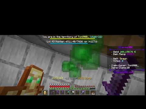 mincraft starnet spielen