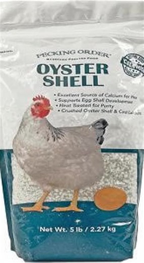 Premium Calcium Supplement for Laying Hens - Supports Strong Eggshell Development & Poultry Health - Natural Oyster Shell Grit (5 LB) - High-Quality Feed Additive for Chickens - Essential Nutrient for Egg Production ideal gift #pearlpowderbenefits #chickenkeepingmusthaves #supplementsforhealth #automaticcatfeeder #vitaminsforwomen #dogvitamins #mineralsupplements #vitalvitamins #milkricesnack #liquidvitaminsupplements