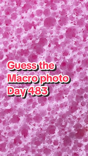 Guess the Macro Photo: Day 483 - Can You Identify It?