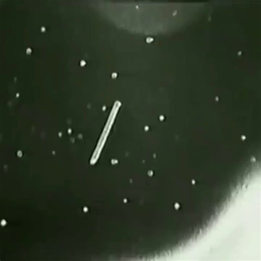 This old NASA video is more relevant than ever after Trump released the UFO Files 👽🛸The 1996 tether Incident occurred when a 12 mile long tether snapped in space and was immediately swarmed by unidentified orbs of light.Today we saw incredible images & testimony from NASA Apollo Astronauts Neil Armstrong & Buzz Aldrin released by The White House.