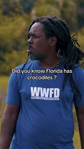Did you know Florida has crocodiles #florida #crocodile #omgitswicks | crocodile