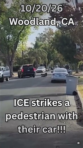 Immigration officer hits pedestrian in Woodland, video shows