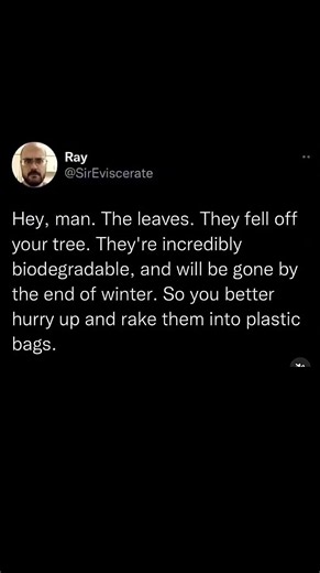 nature made them free, but cleanup costs extra 🍂 | Subscribe for more #motivation 😊👍