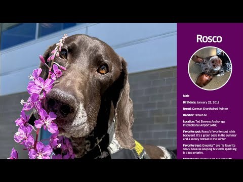 TSA Unleashes Its 2026 Canine Calendar