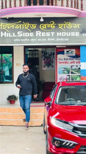 Trading Strategies for Beginners: Master the Market