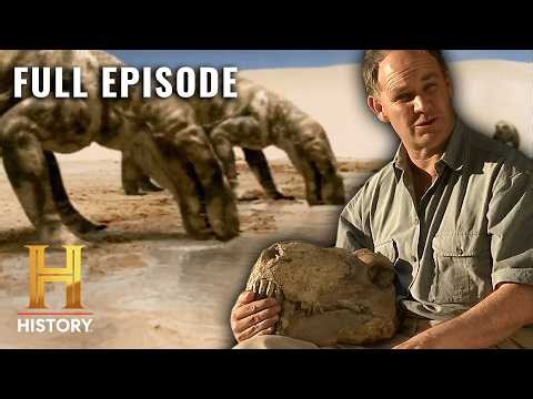When 95% of Earth’s Species Went Extinct | How the Earth Was Made (S2, E11) | Full Episode