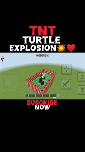 Minecraft TNT Turtle Explosion 🐢✨#minecraft​ #minecraftshorts​ #explosion​ #turtle​ #gaming​ #shorts