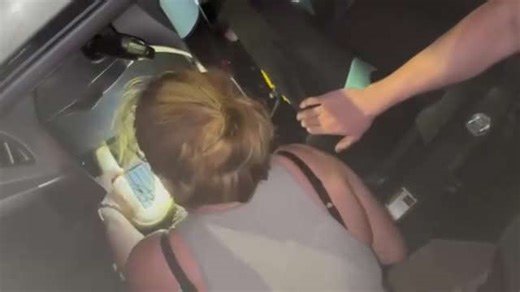 Firefighters dismantle woman's car after slippery python hides inside