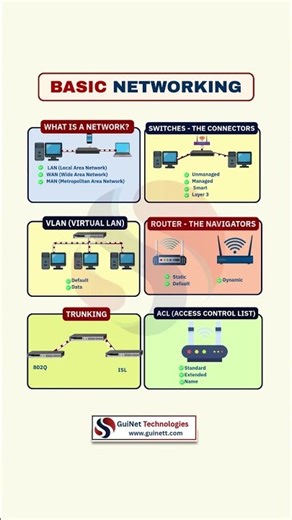 Basic Networking Explained | LAN, VLAN, Switching & Routing (CCNA)