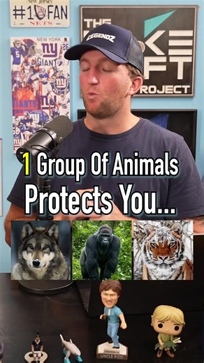 1 Group Of Animals Protects You The Other Groups Are Trying To Kill You! #fyp #animals #gorilla #bear #deadly