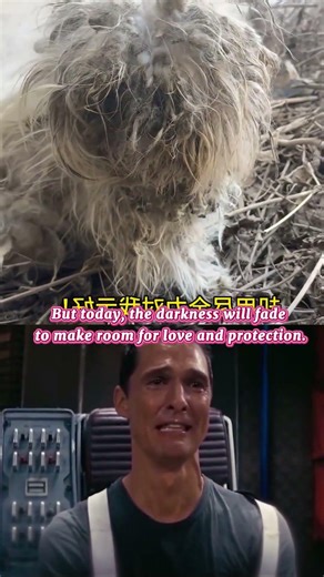 Behind the pain is a soul waiting to be healed ✨🐶 ❤️#shorts #emotional #sad #dog #cat #rescue