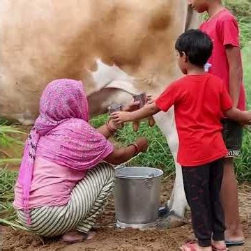 City Life Vs Village Life #shorts #ytshorts