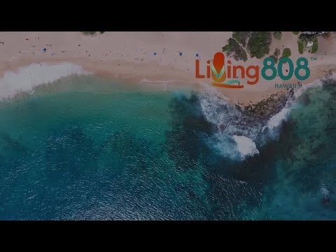 Inside the High-Pressure Journey of Chef Hunter Gentry on Next Level Chef