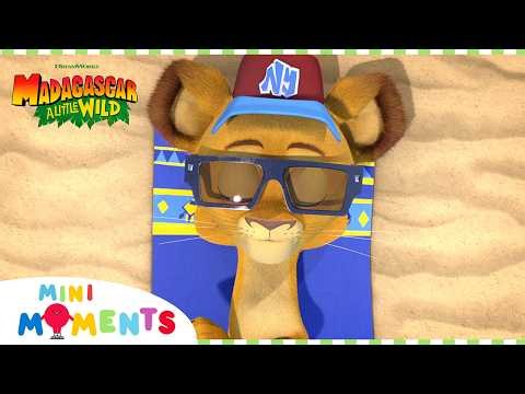 The Gang Relax... ☀️⛱️ | Madagascar: A Little Wild | 1 Hour Comp | Mini Moments
