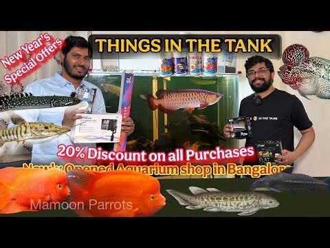 Things in the Tank Aquarium, Exotic & Monster Fish | Cheapest aquatic Shop, New Year Special Offers