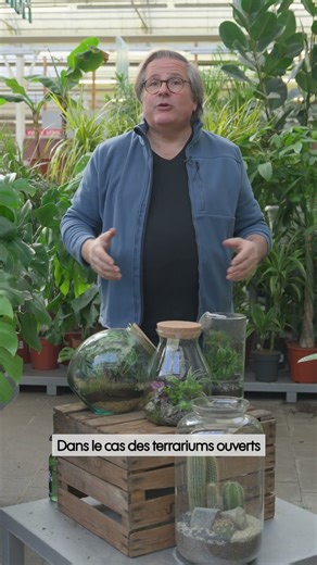 Comment entretenir son terrarium ? - Truffaut