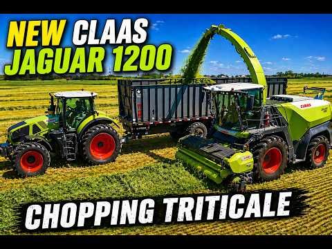 NEW Claas Jaguar 1200 Chopping Triticale at Hulsbosch Dairy Farm