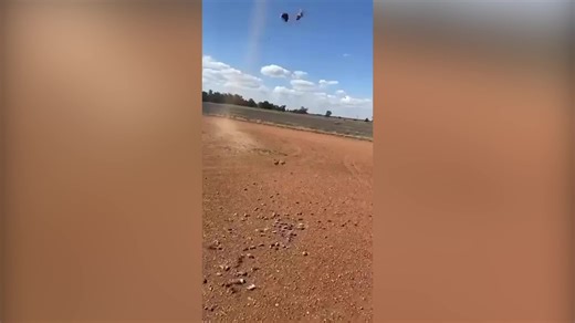 Mice ‘rain from sky’ in Australia as rodent plague continue