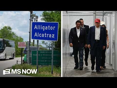 Report: 'Alligator Alcatraz' detainees put in SMALL CAGES