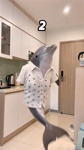 Can you guess?? Cre: @sofiManassyan