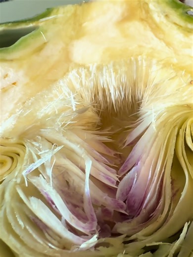 Why You Should Be Eating Artichokes (and How to Prepare Them) Join Chef Dad in this informative episode as he shows you how to clean and prepare your artichoke for cooking! Artichokes can be a bit intimidating, but with Chef Dad's easy steps, you’ll be ready to enjoy this delicious vegetable in no time. In this video, you’ll learn: The best methods for cleaning artichokes to remove any dirt and debris. Step-by-step instructions for trimming and preparing the artichoke, including how to remove th