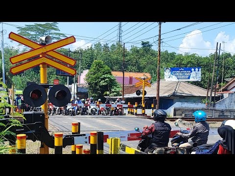 🚦 LIVE One of The Busiest Railway Crossings in The World ‼️