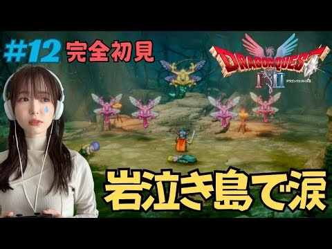 [Dragon Quest 1 & 2 Remake / Complete First Playthrough] #12 I Won't Forgive Alien Flies [Actress...