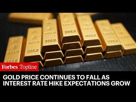 Gold Price Continues Fall As Expectations Of An Interest Rate Hike Grow