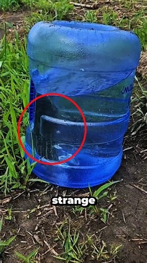 This Simple Trick Makes Catching Gophers So Easy