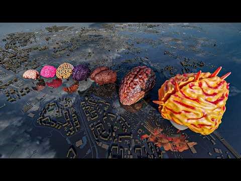 Who Has the Biggest Monster Brain? (3D Animation)