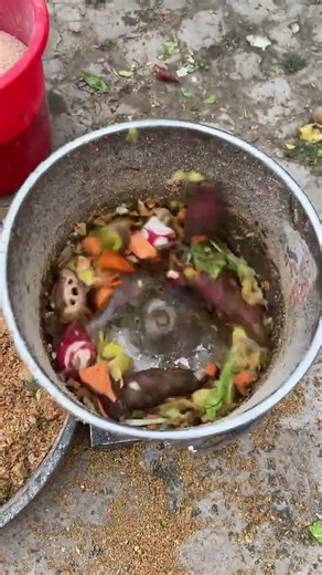 Insane Vegetable Chopper for Pig Feed!🐷🥕Farm Life Hack#viral #trending#viralvideo #farming #shorts