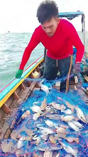 渔船出海蟹网捕螃蟹🦀 #螃蟹 #蟹网 #捕蟹