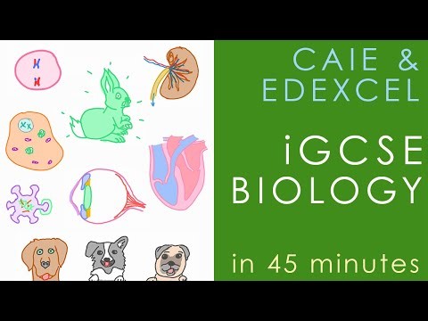 All of iGCSE BIOLOGY (CAIE & Edexcel) - Science Revision