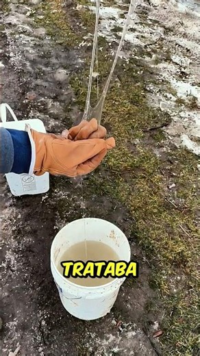 ¿Por qué el AGUA estaba ASÍ? #datoscuriosos