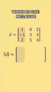 Scalar Multiplication with a 3×3 Matrix 🧗‍♀️