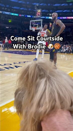 Come sit courtside with my dog! 🐶🏀 #goldendoodle #dogdad #nba #lakers