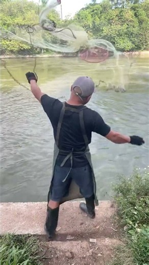 Casting a net to catch a large crucial carp—the life of a fisherman