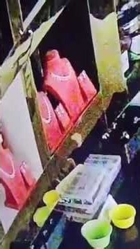 Rat Accused of $12K Jewelry Heist After CCTV Revelation #shorts